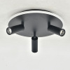 Потолочный светильник Escada 20046SMA/03LED BK