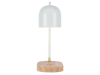 Настольная лампа Zortes DeskLight ZRS.1066.02