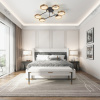 Потолочный светильник Arte Milano Ferrara 277999/6 BK/GD