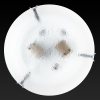 Настенный светильник Toplight Julianna TL9301Y-02SM