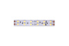 Светодиодная лента DesignLed DSG5120-24-W-33 000522