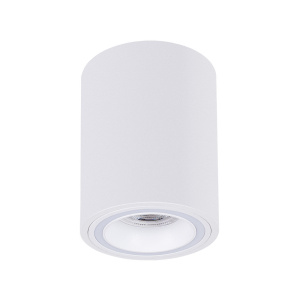 Накладной светильник Arte Lamp Imai A2267PL-1WH