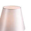 Настольная лампа ST Luce Опал SL1403.304.01