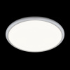 Потолочный светильник  LOFT IT Sweety 10454/500 White