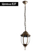 Уличный подвесной светильник Arte Lamp Pegasus A3151SO-1BN