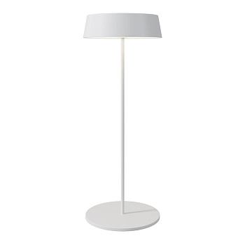 Уличный переносной аккумуляторный светильник Maytoni Porto O540TL-L2WCCT