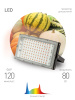Фитопрожектор для растений Эра FITO-80W-Ra90-LED-Y Б0057284