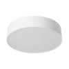 Потолочный светильник Citilux Bart CL755290