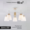 Потолочная люстра Eurosvet Fresco 70085/5 белый