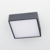 Накладной светильник Citilux Тао CL712X122N