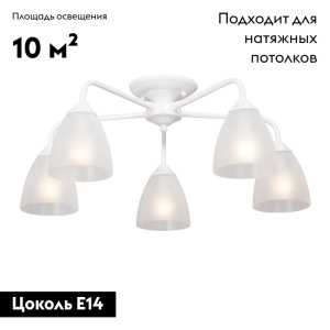 Потолочная люстра Vitaluce V3946-0/5PL