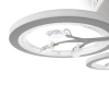 Потолочный светильник Freya Bodge FR10017CL-L92W
