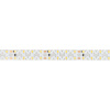 Светодиодная лента Arlight RZ-A160-15mm 24V White6000 (19.2 W/m, IP20, 2835, 5m) 036016