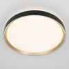 Потолочный светильник Citilux Boss CL751451G