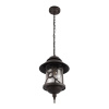 Уличный подвесной светильник Loft IT Prato 100021P