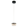 Подвесной светильник Delight Collection MD21020075 MD21020075-1A matt black