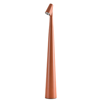 Настольная лампа Arte Lamp Fusion A3283LT-2BR