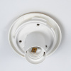 Потолочный светильник Citilux Ron CL941D20B2
