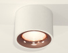 Потолочный светильник Ambrella Light Techno Spot XS7510025 (C7510, N7015)