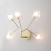 Настенный светильник Crystal Lux SOLE AP5 GOLD