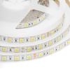 Светодиодная лента Apeyron 24В ПРО 14,4Вт/м smd5050 60д/м IP65 1100Лм/м 5м 6500К 00-318