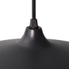Подвесной светильник Arte Lamp Carmel A7104SP-1BK