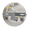 Подвесной светильник Freya Tint FR5179PL-06W