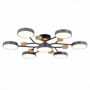 Люстра на штанге Evoluce Faema SLE6006-702-07