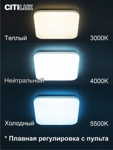 Потолочная люстра Citilux Симпла CL714K480G