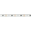 Светодиодная герметичная лента Arlight DMX-PFS-B60-12mm 12V RGB-PX3 (14 W/m, IP68, 5060, 5m) 039175