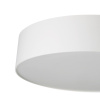 Потолочный светильник Citilux Bart CL755290