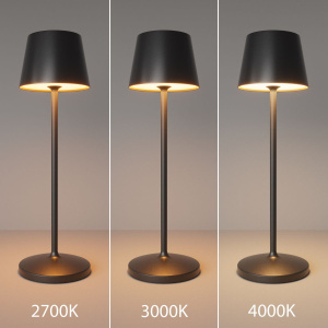 Настольная лампа с аккумулятором Maytoni Nook MOD494RL-L1BK