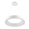 Подвесной светодиодный светильник Odeon Light Sole 4066/50L