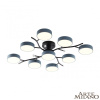 Потолочная люстра Arte Milano Ferrara 256606/8+1 Bk/Gr
