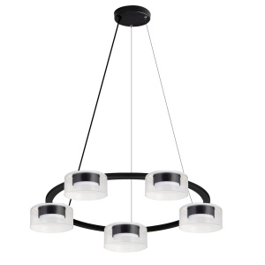 Подвесная люстра Arte Lamp Alius A8042SP-5BK