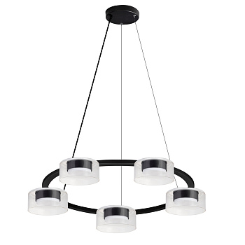 Подвесная люстра Arte Lamp Alius A8042SP-5BK