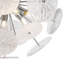 Потолочная люстра Freya Brillia FR5274CL-06CH