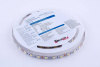 Светодиодная лента DesignLed DSG560-12-W-33 000513
