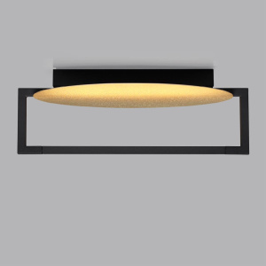 Настенно-потолочный светильник Odeon Light Lunar 7016/15WL