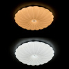Потолочный светодиодный светильник Arte Lamp Biscotti A2675PL-72WH