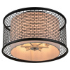 Потолочная люстра Lussole Loft LSP-9676