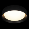 Потолочный светильник Loft IT Coin 10202 BB