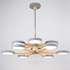 Люстра на штанге ImperiumLoft Turna Dbl 229089-26
