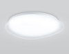 Потолочный светильник Ambrella Light Orbital Air FZ1605