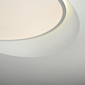 Потолочный светильник ImperiumLoft Shell 102036-26