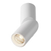 Светодиодный спот Maytoni Dafne C027CL-L10W 3000K