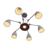 Подвесная люстра LOFT IT Watchman Loft4402/6Wh
