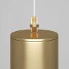 Подвесной светильник Maytoni Technical Focus P075PL-01MG