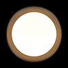 Потолочный светильник Loft IT Coin 10202 BB