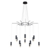 Подвесная люстра Maytoni Davida MOD035PL-12B